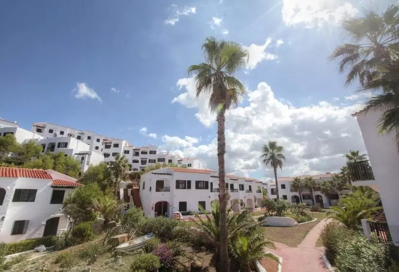 Fergus Club Carema Splash