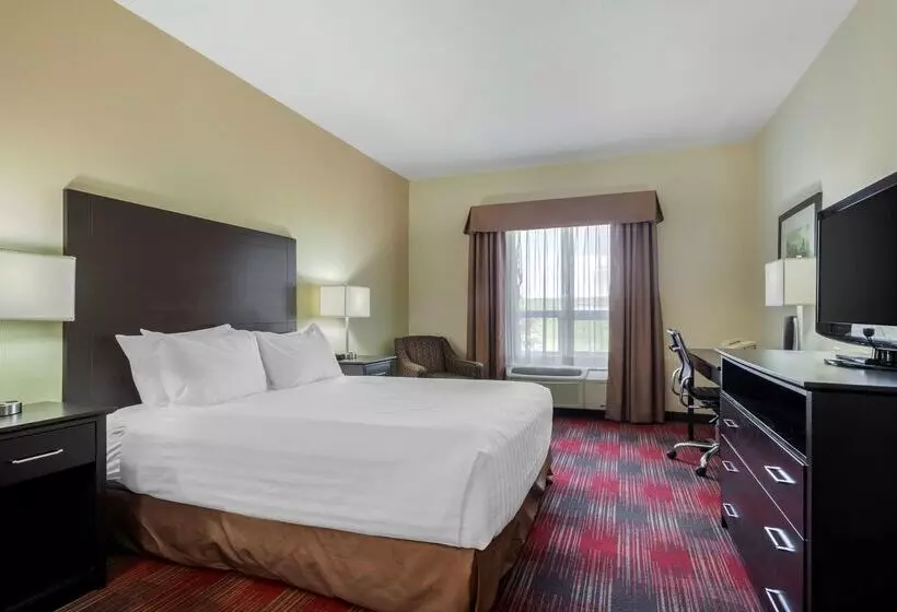 Отель Best Western Plus Red Deer Inn & Suite