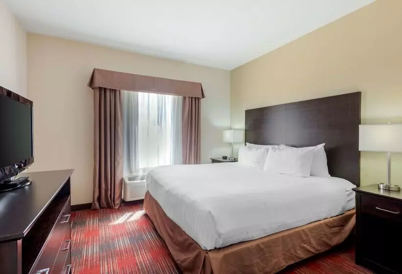 Отель Best Western Plus Red Deer Inn & Suite