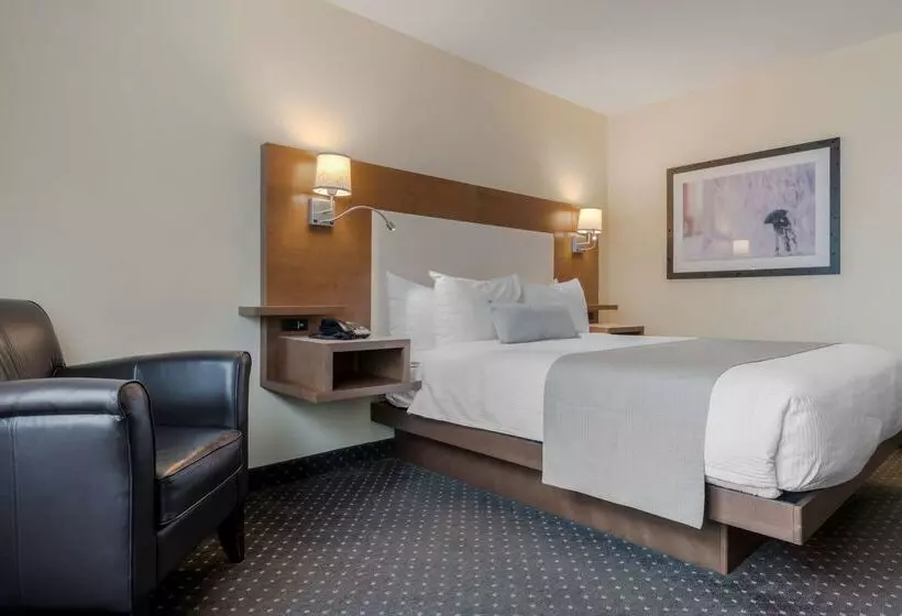 Best Western Plus Woodstock Hotel Conference Centre