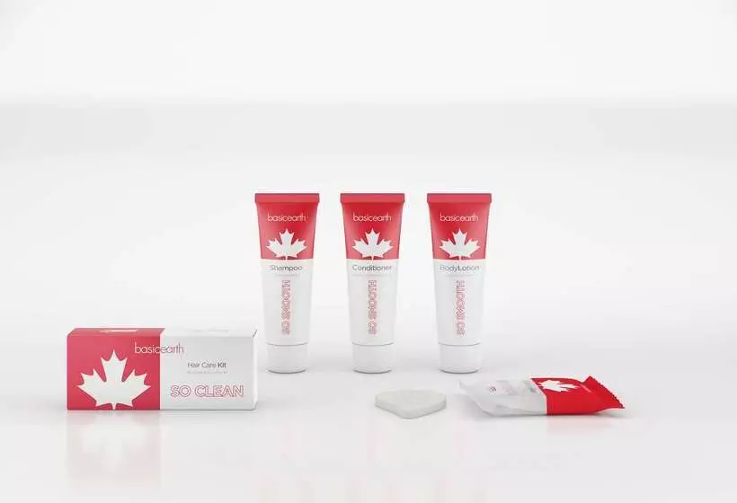 ホテル Canada S Best Value Desert Inn & Suites