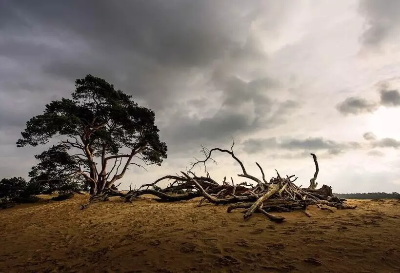 فندق Restaurant De Echoput