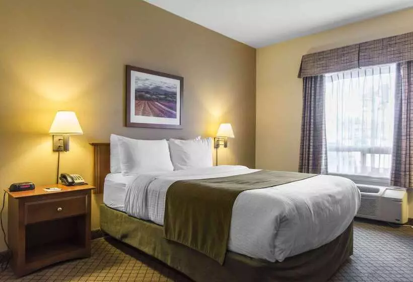 هتل Quality Inn Airport
