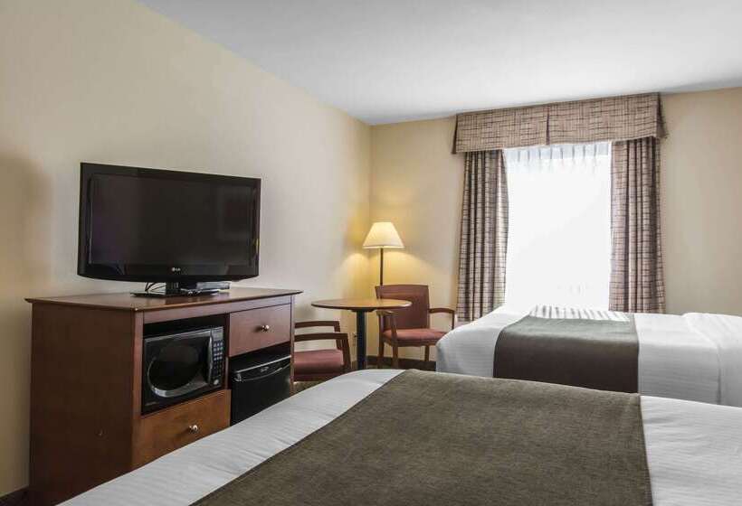 فندق Quality Inn Airport