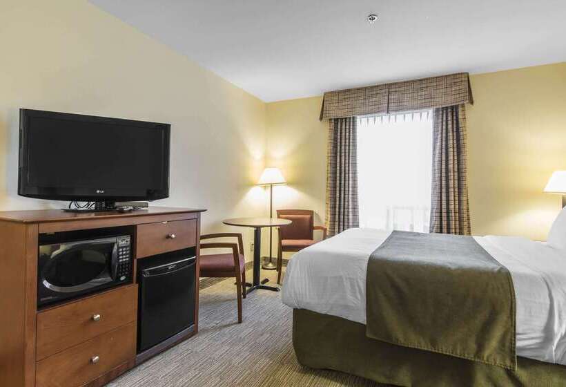 فندق Quality Inn Airport