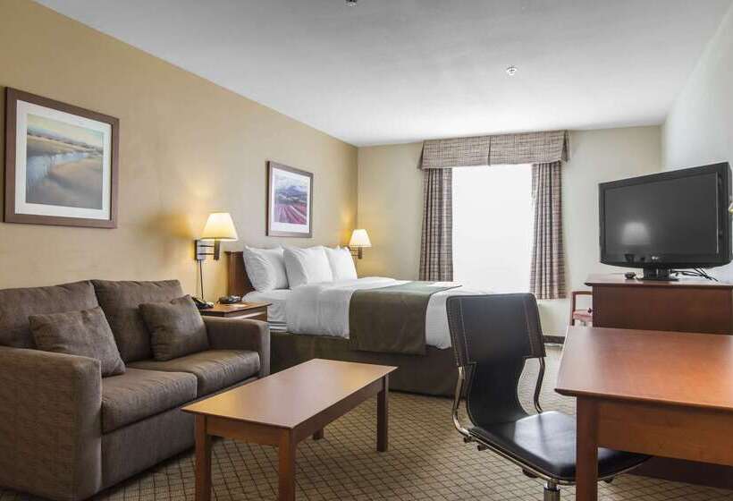 فندق Quality Inn Airport