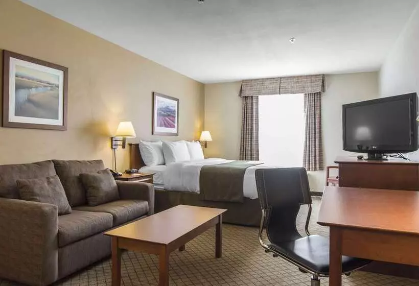 هتل Quality Inn Airport