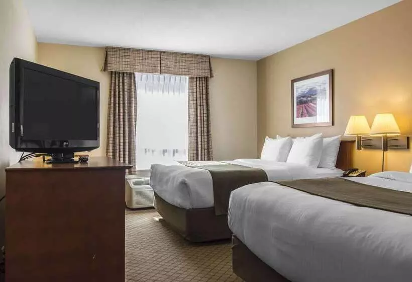 هتل Quality Inn Airport