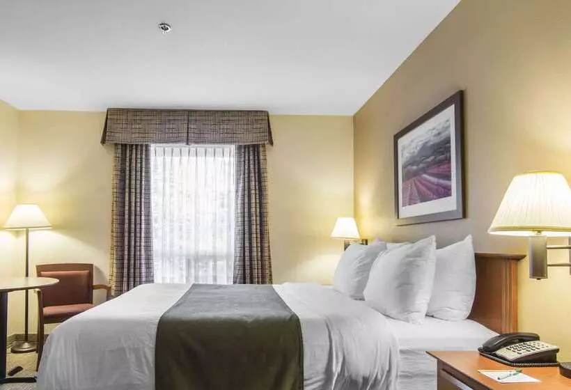 هتل Quality Inn Airport