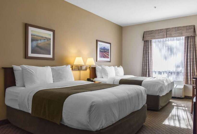 فندق Quality Inn Airport