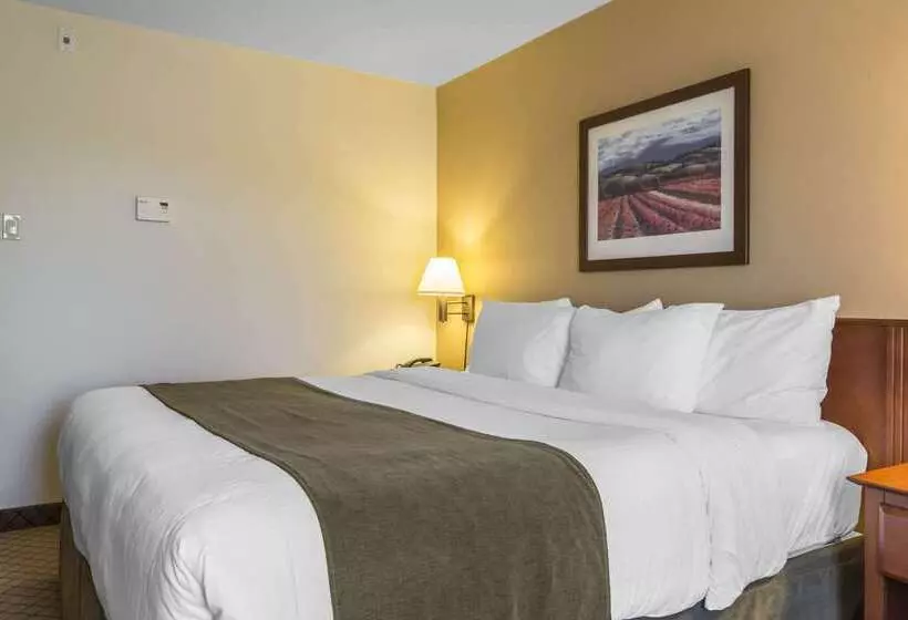 هتل Quality Inn Airport