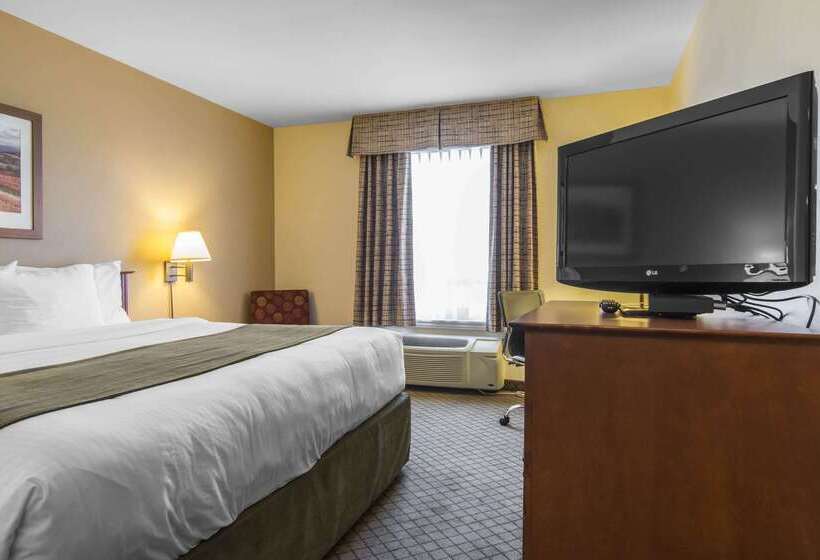فندق Quality Inn Airport
