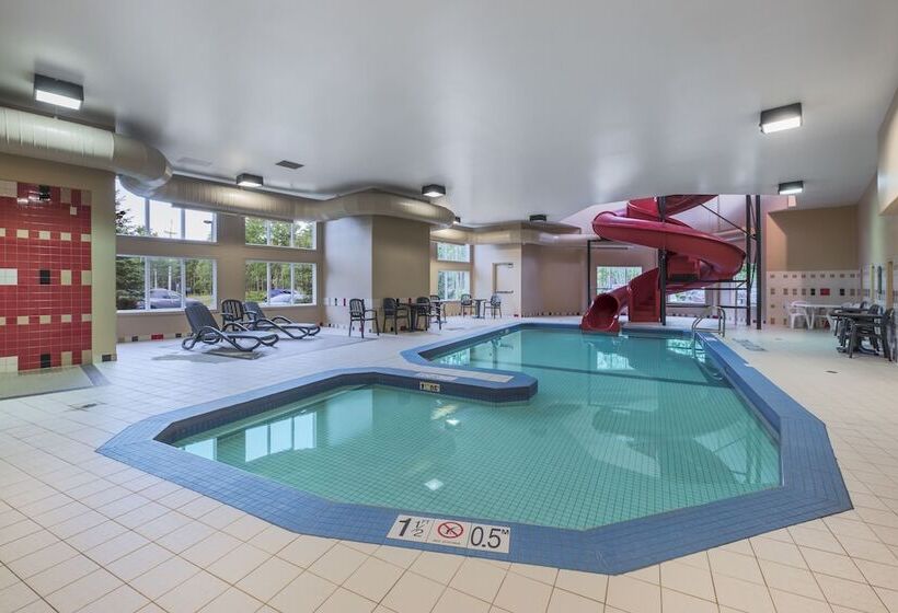 فندق Quality Inn Airport