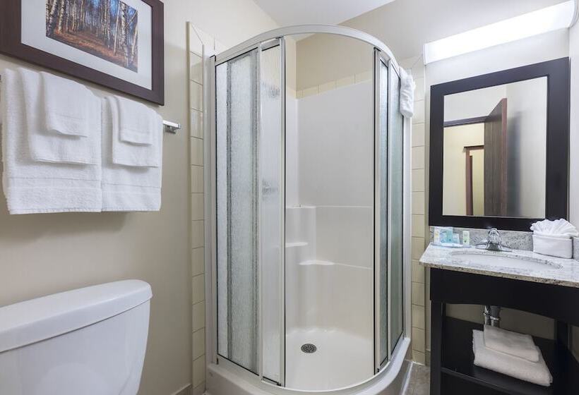 فندق Quality Inn Airport