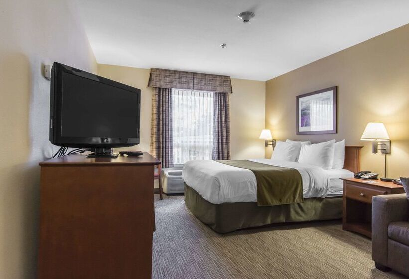 فندق Quality Inn Airport