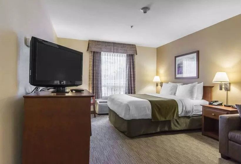 هتل Quality Inn Airport