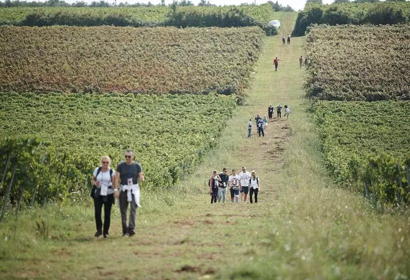 Отель Skiper Resort Savudrija