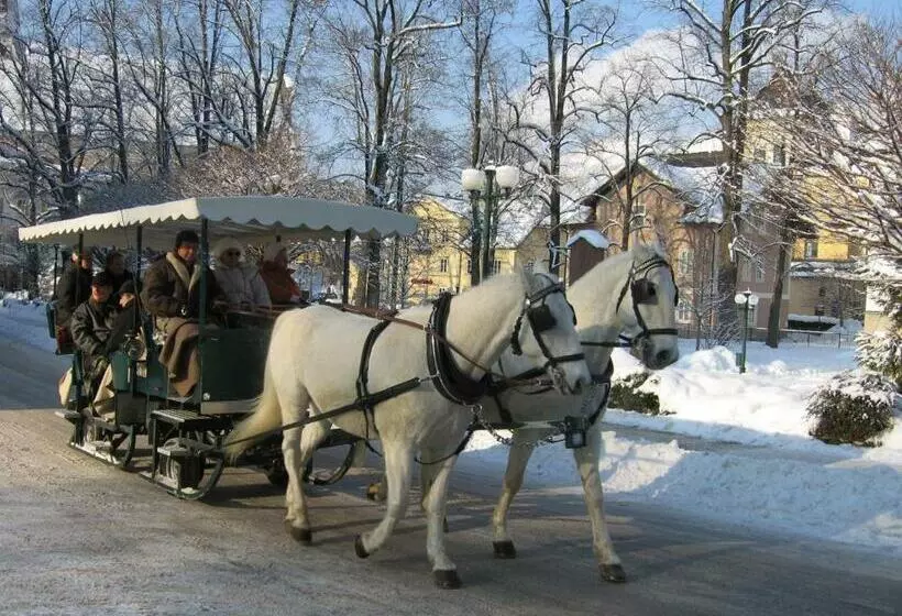 호텔 Stadt Salzburg