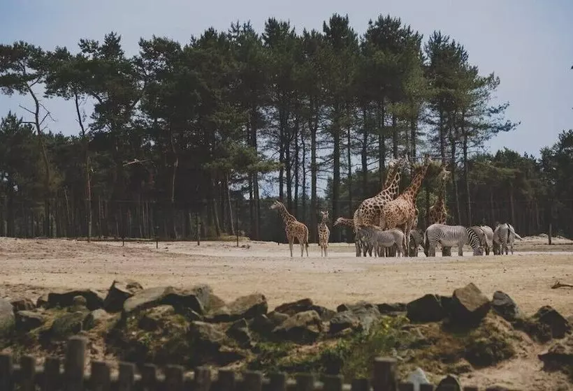 Van Der Valk Hotel S Hertogenbosch – Vught