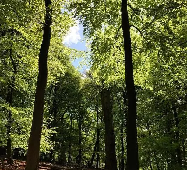 בית מלון כפרי De Werelt Garderen