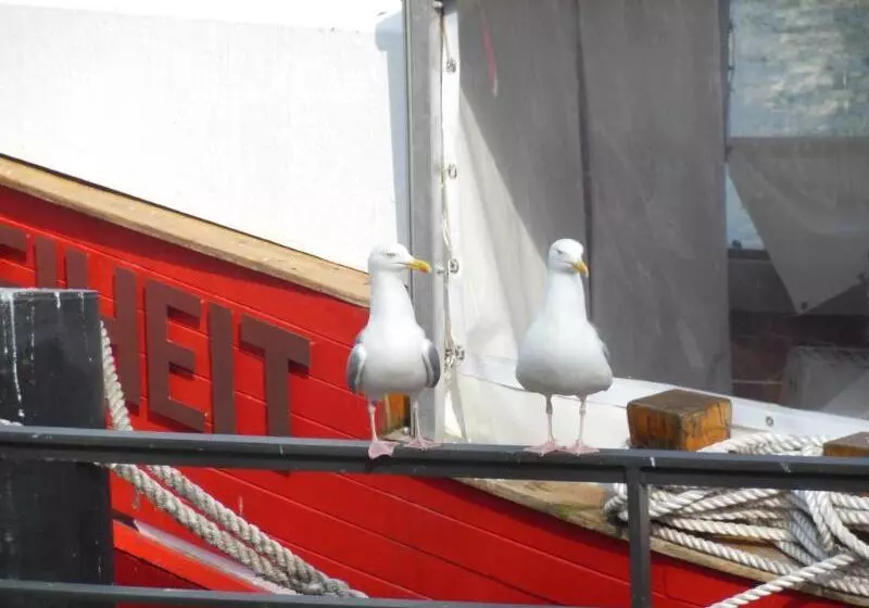 호텔 Am Alten Strom