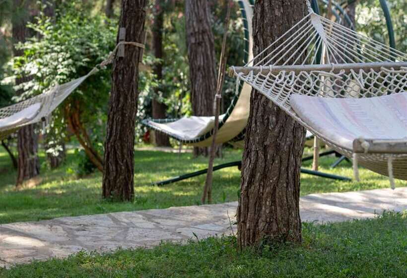 酒店 Greenland All Inclusive