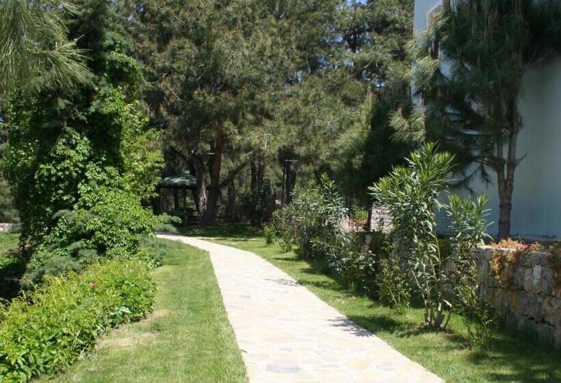 酒店 Greenland All Inclusive