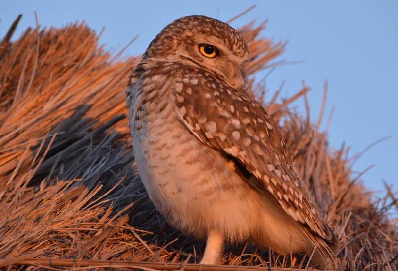 ホテル Howard Johnson Resort Spa & Convention Center