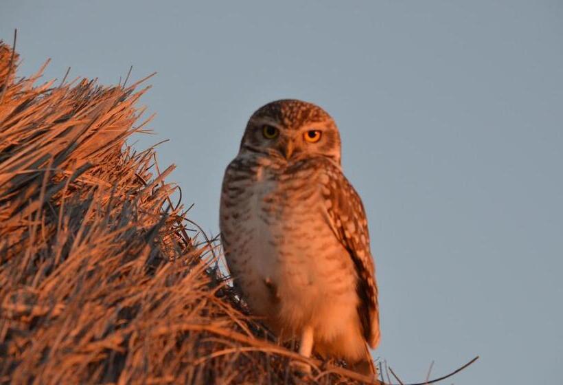 ホテル Howard Johnson Resort Spa & Convention Center