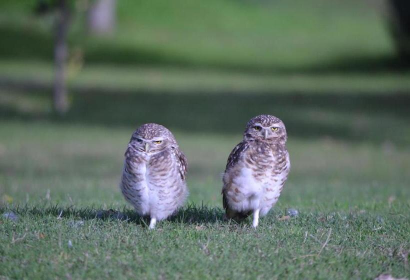 ホテル Howard Johnson Resort Spa & Convention Center