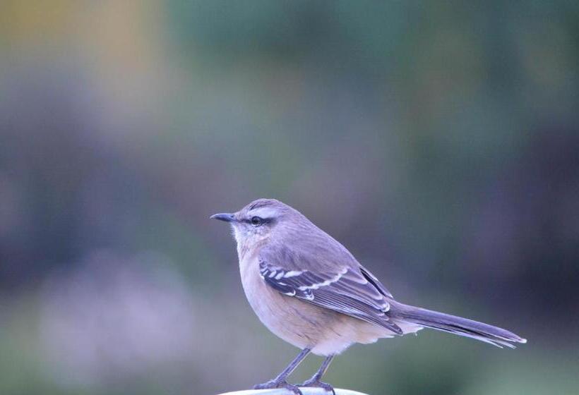 ホテル Howard Johnson Resort Spa & Convention Center