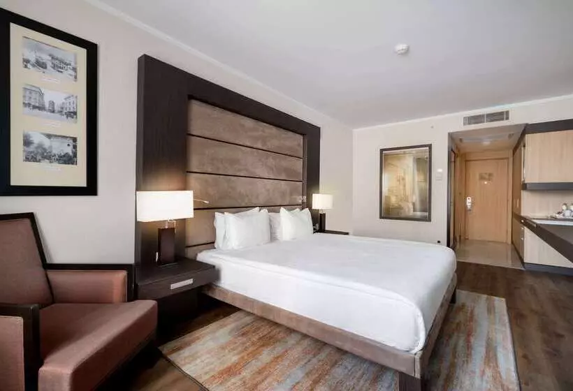 ホテル Ramada Plaza By Wyndham Istanbul City Center
