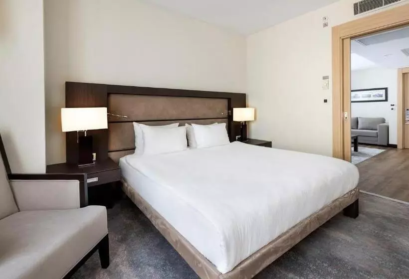 ホテル Ramada Plaza By Wyndham Istanbul City Center
