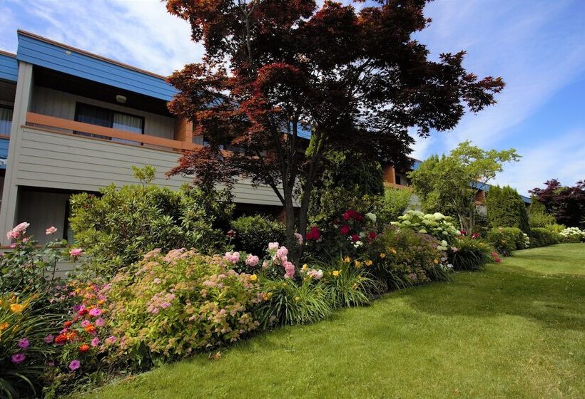 Hotel Recreation Inn And Suites