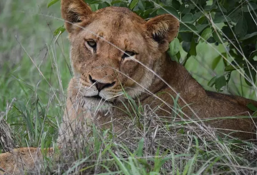 Shishangeni, By Bon Hotels