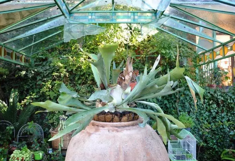 Bed and Breakfast Casa Mazzola