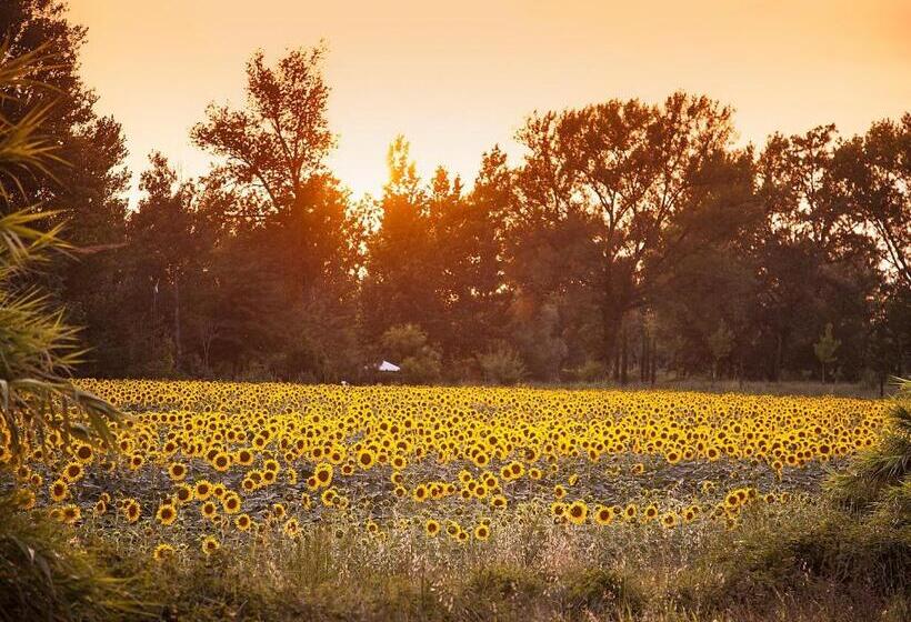 酒店 Borgo Sant Ippolito Country