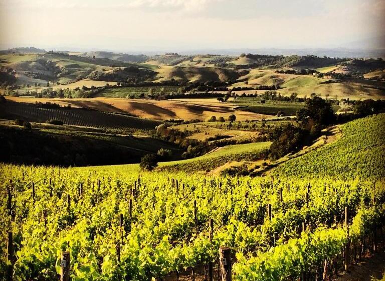 ホテル Del Buono Wellness & Medical Spa