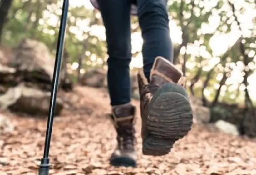 בית מלון כפרי Marconi