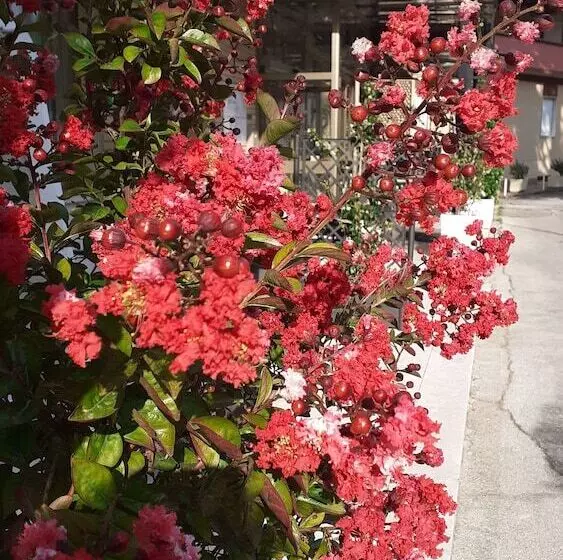 בית מלון כפרי Marconi