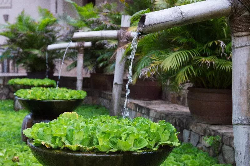 هتل Sailing Club Resort Mui Ne