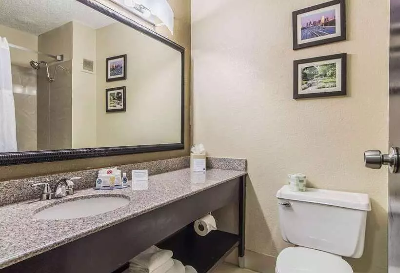 בית מלון כפרי Comfort Inn Dallas Park Central