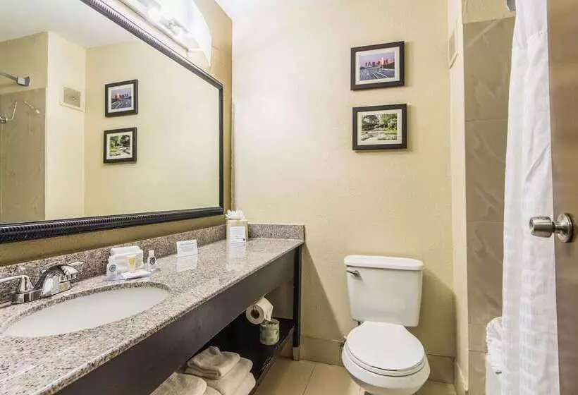 בית מלון כפרי Comfort Inn Dallas Park Central