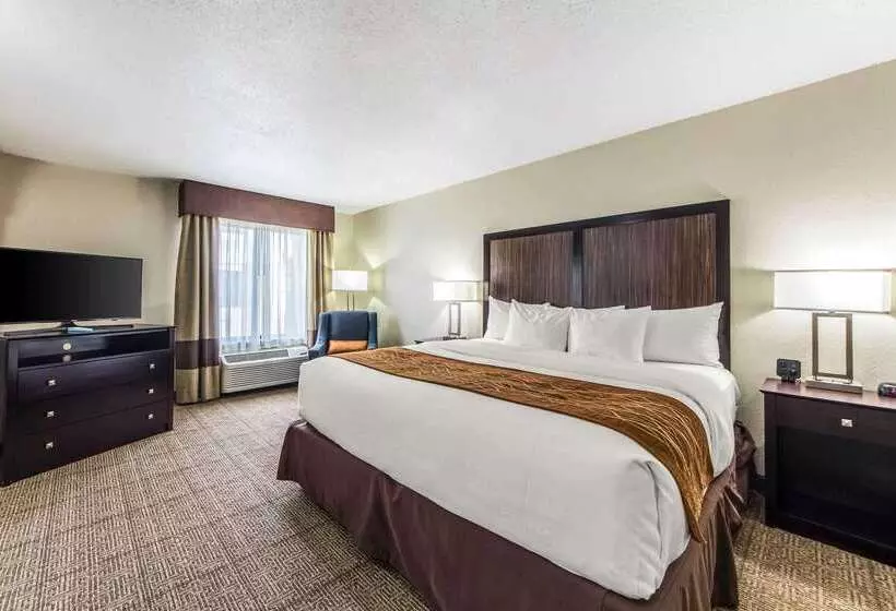 בית מלון כפרי Comfort Inn Dallas Park Central