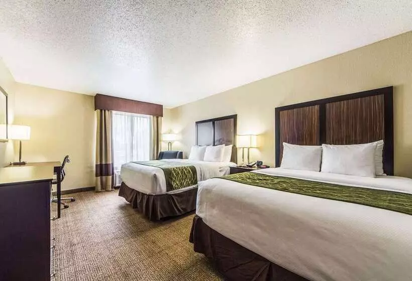 בית מלון כפרי Comfort Inn Dallas Park Central
