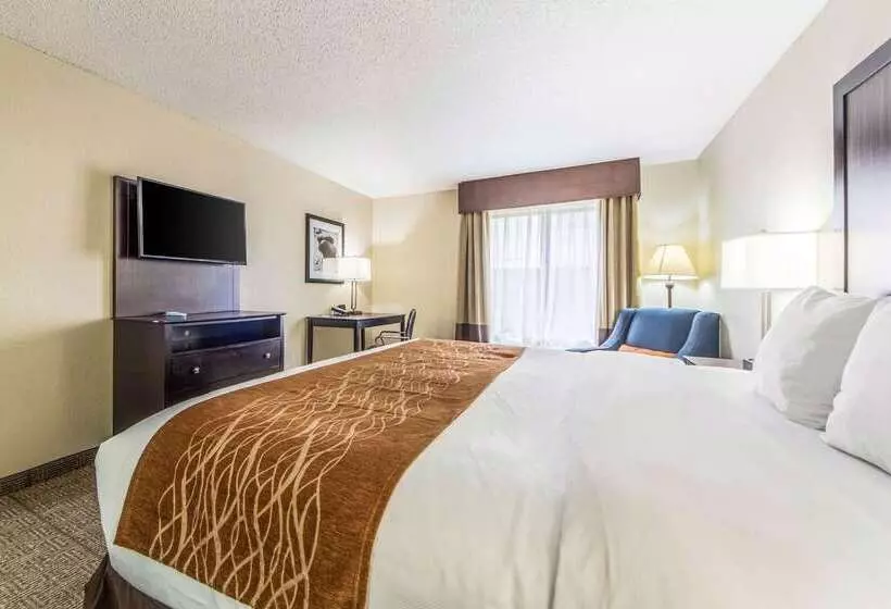 בית מלון כפרי Comfort Inn Dallas Park Central