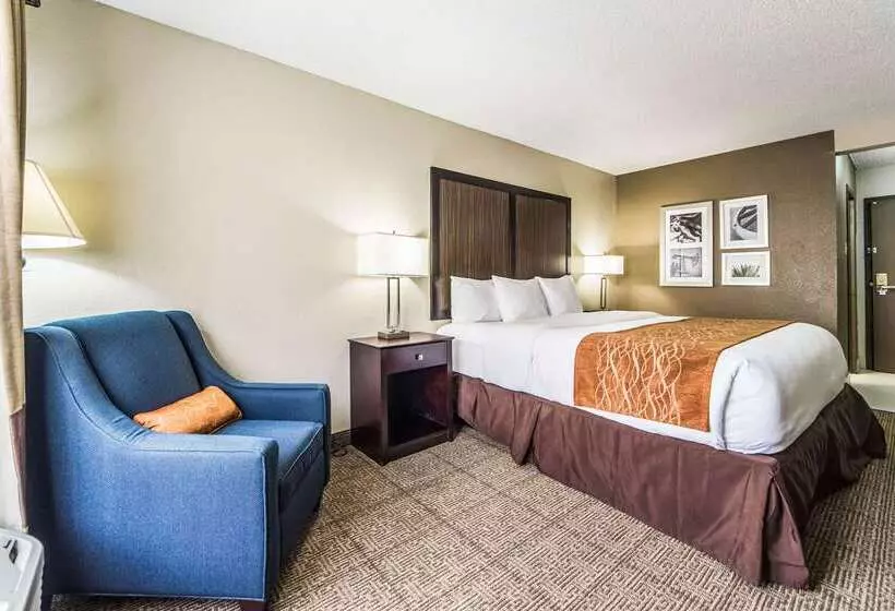 فندق Comfort Inn Dallas Park Central