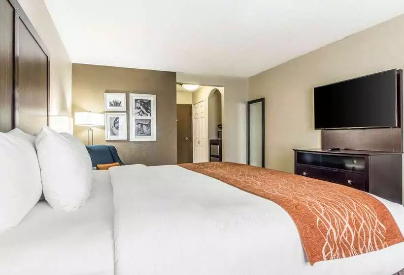 בית מלון כפרי Comfort Inn Dallas Park Central