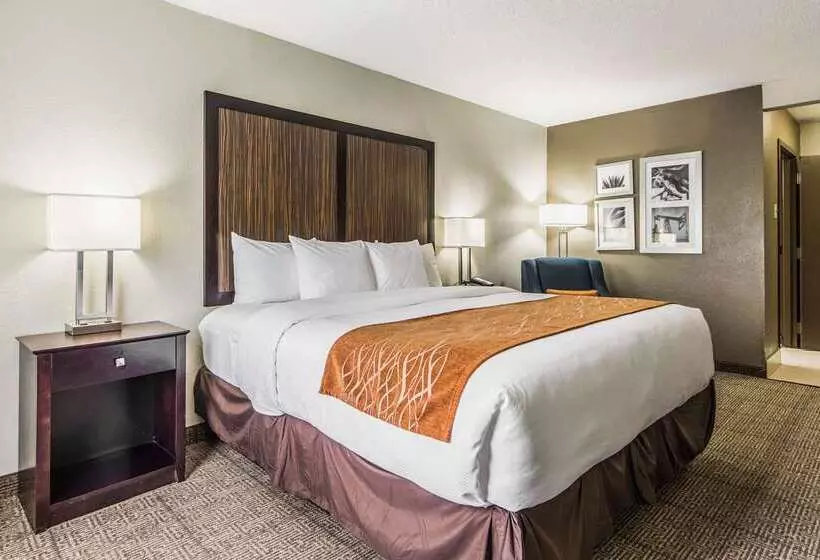 فندق Comfort Inn Dallas Park Central