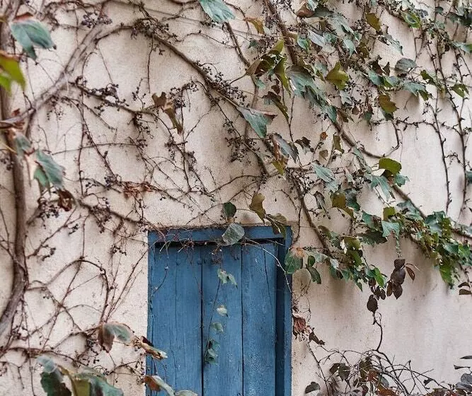 هتل روستایی Rural La Vida De Antes